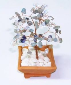 Copacel cu cristale de piatra lunii, sodalit - mic